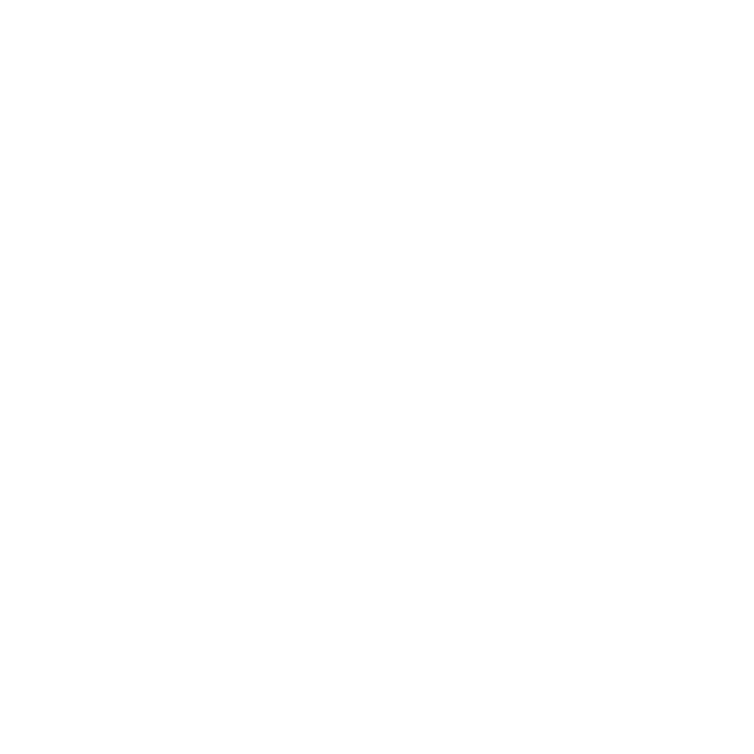 X Icon